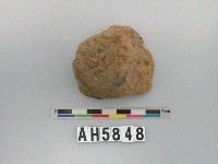 藏品(灰褐色細砂陶蓋鈕)的圖片